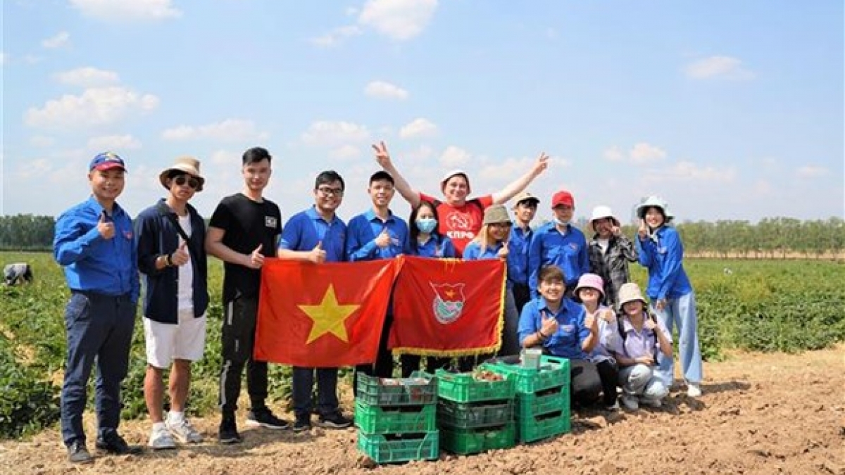 越南大学生积极参加俄罗斯莫斯科共产主义星期六义务劳动