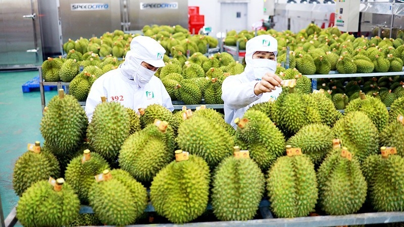努力将越南农产品进入中国电子商务市场