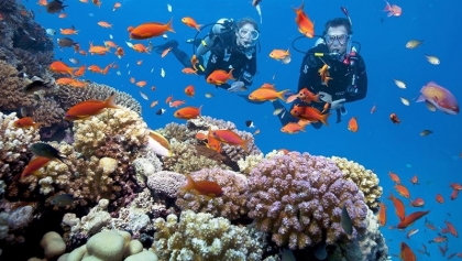 联手保护海洋生态 推动海洋旅游可持续发展