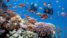 联手保护海洋生态 推动海洋旅游可持续发展