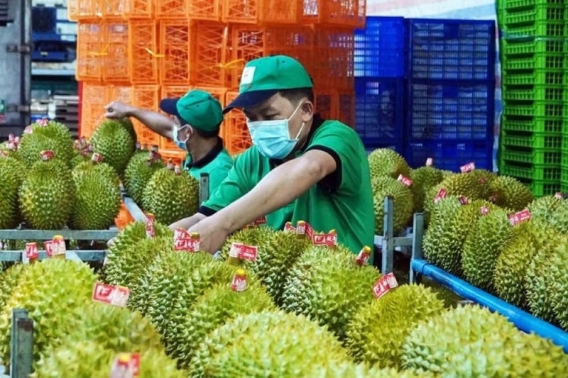 恢复向中国出口果蔬：多措并举助力行业重回赛道