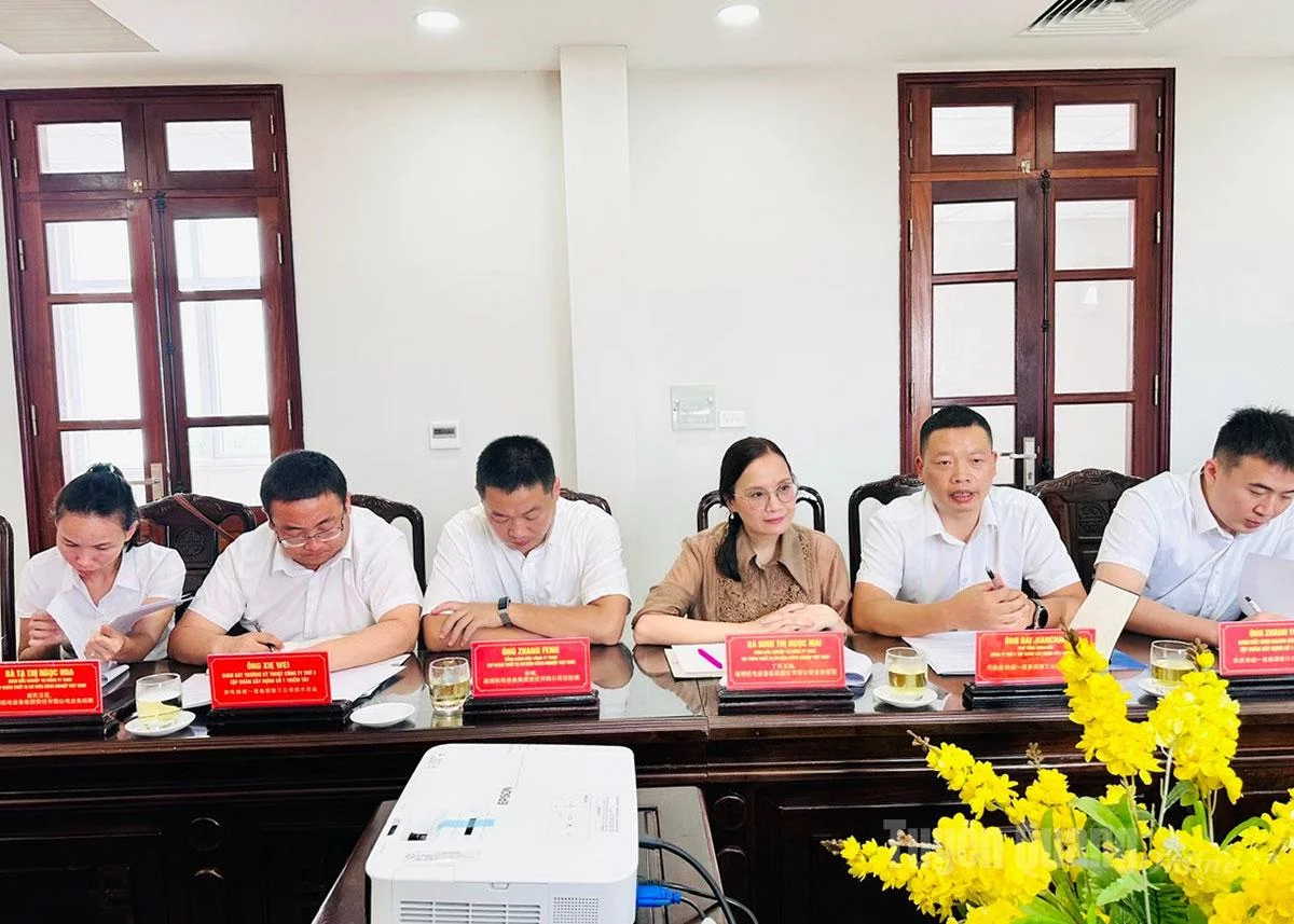 宣光省加强与中国企业合作,吸引投资