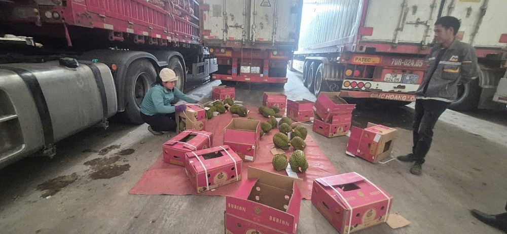 中国为越南榴莲出口'亮绿灯'