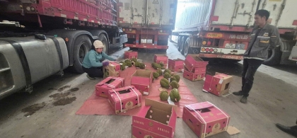 中国为越南榴莲出口'亮绿灯'