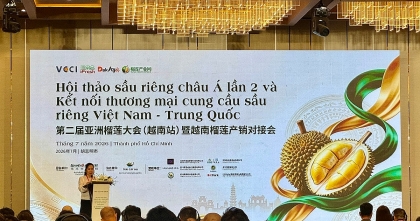 越中榴莲供需贸易对接会深化产业合作