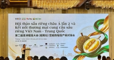 越中榴莲供需贸易对接会深化产业合作