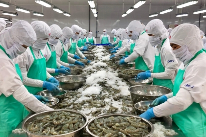 对华出口大幅增长推动越南水产品贸易提升