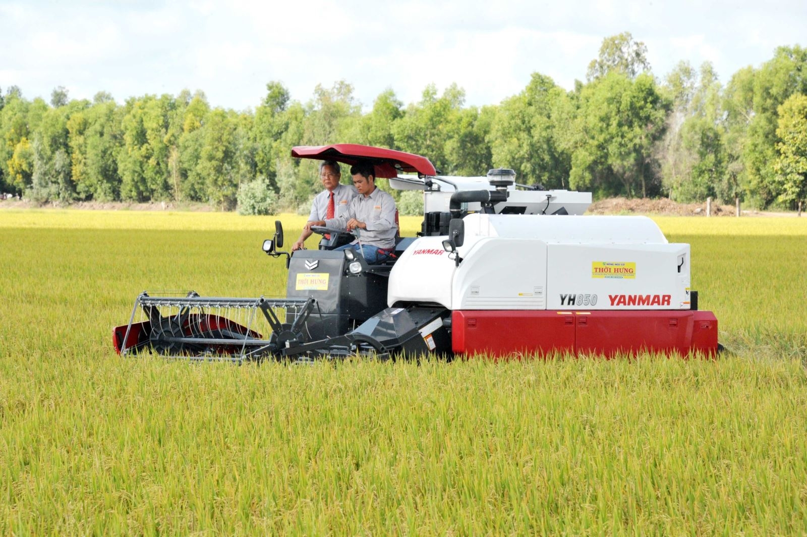 在法越南科学家致力于发展九龙江三角洲的水稻产业
