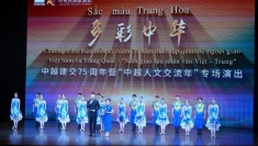 ‘多彩中华’：在越中友谊长河中架起艺术之桥