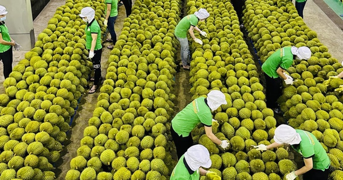 今年前7个月中国花费21亿美元进口越南果蔬