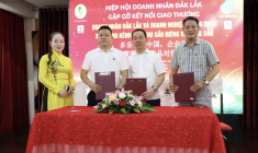 越南得乐省与中国企业家携手打开农产品出口之路