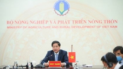 中国在评估越南农产品时需要更加灵活