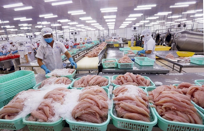 越南农产品因质量和供货能力日益提高而受到中国消费者的欢迎。
