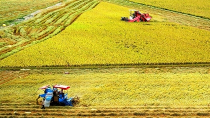 推进九龙江三角洲地区的农业可持续转型