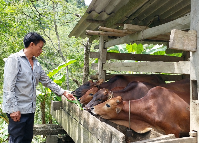 越中边境民族地区的可持续经济社会发展，助力当今国防与安全的巩固 （第三期）