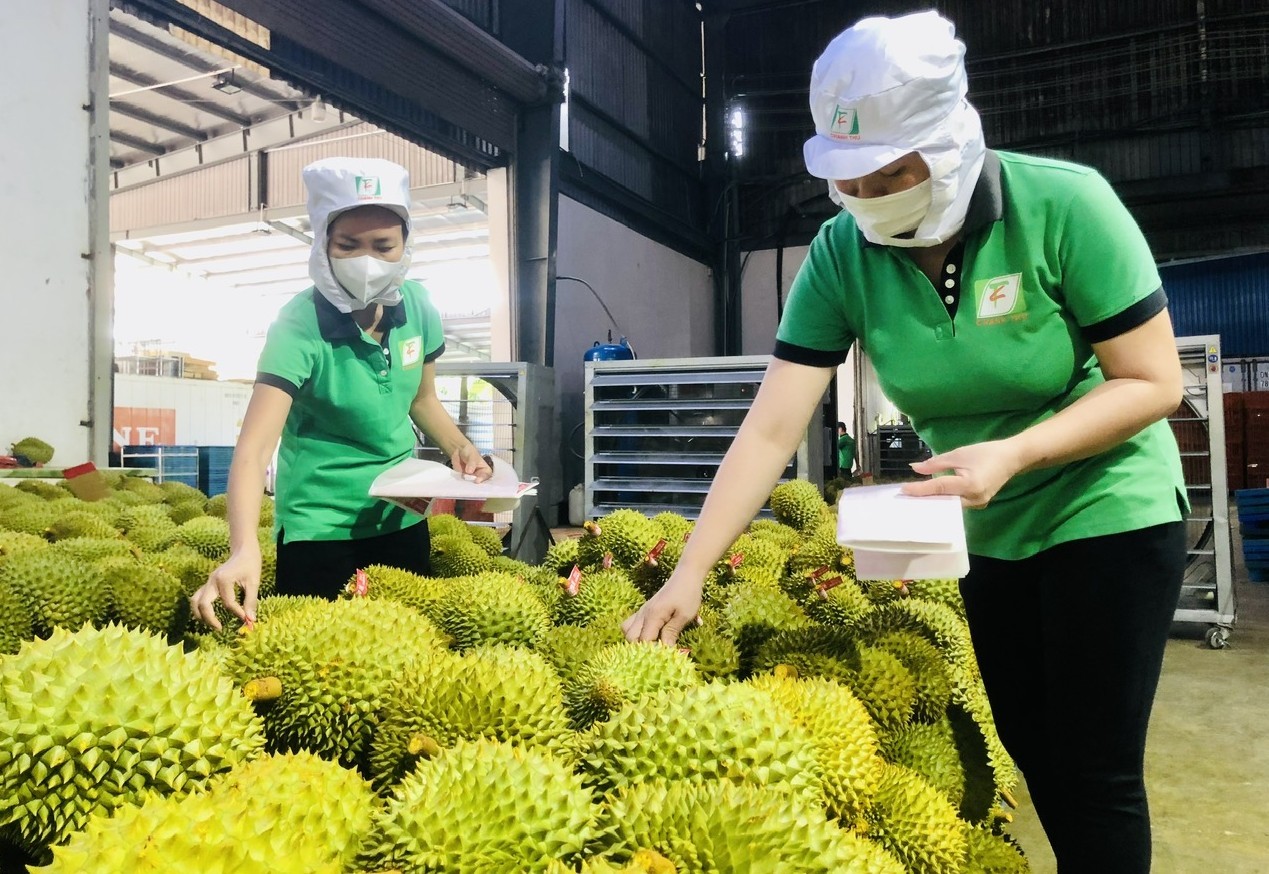 越南果蔬重返中国市场