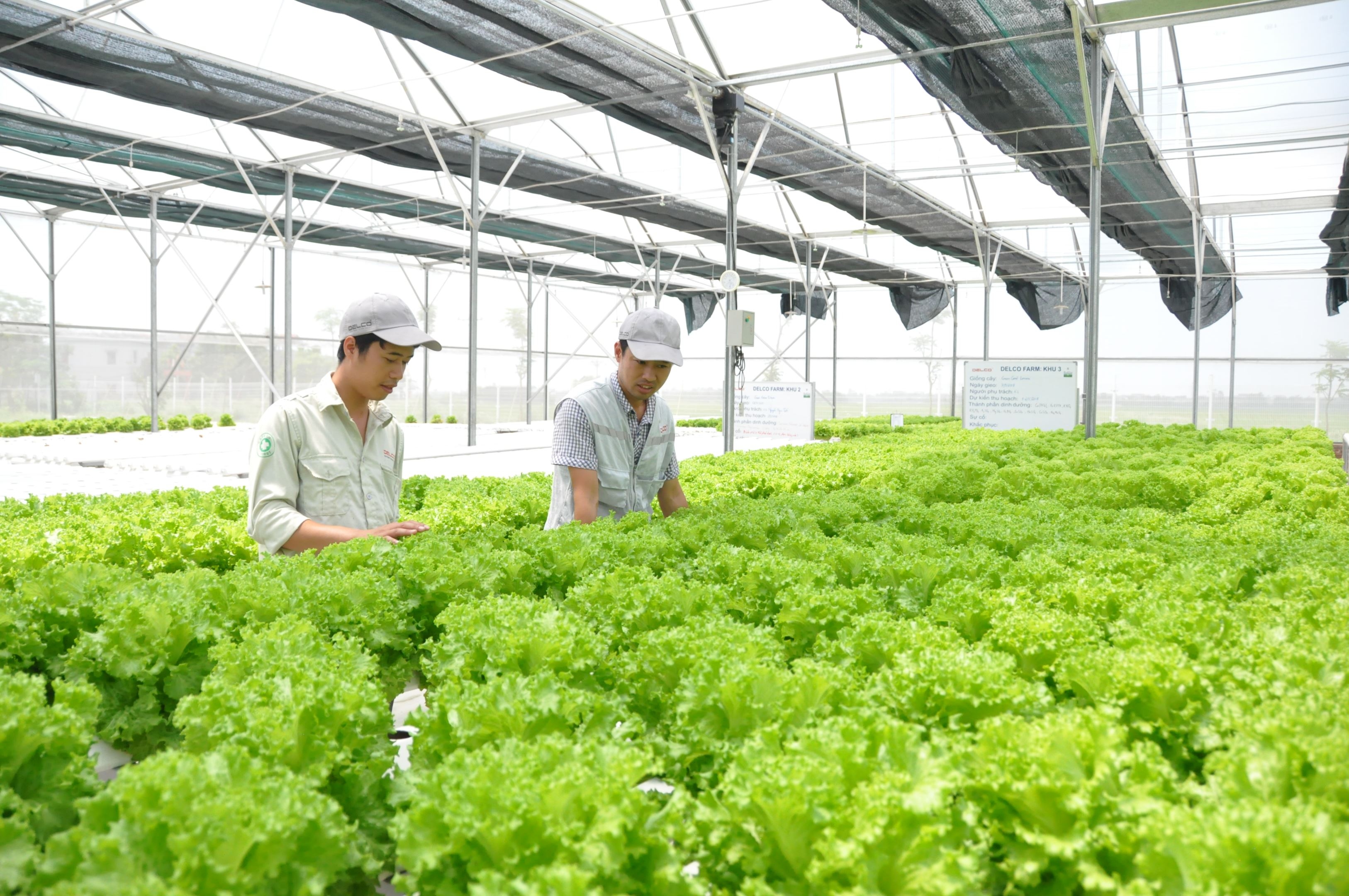 澳大利亚和越南在发展高科技农业方面有许多合作机会