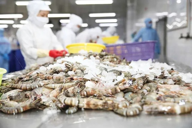 中国成为越南虾类和腰果最大出口市场