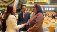 越南成功连任2026-2028任期联合国人权理事会成员