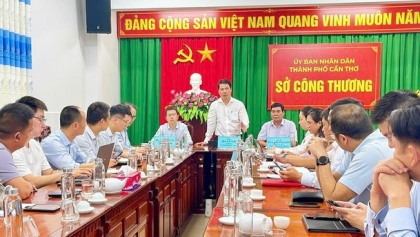 中国企业考察芹苴寻求物流与农产品加工合作机会