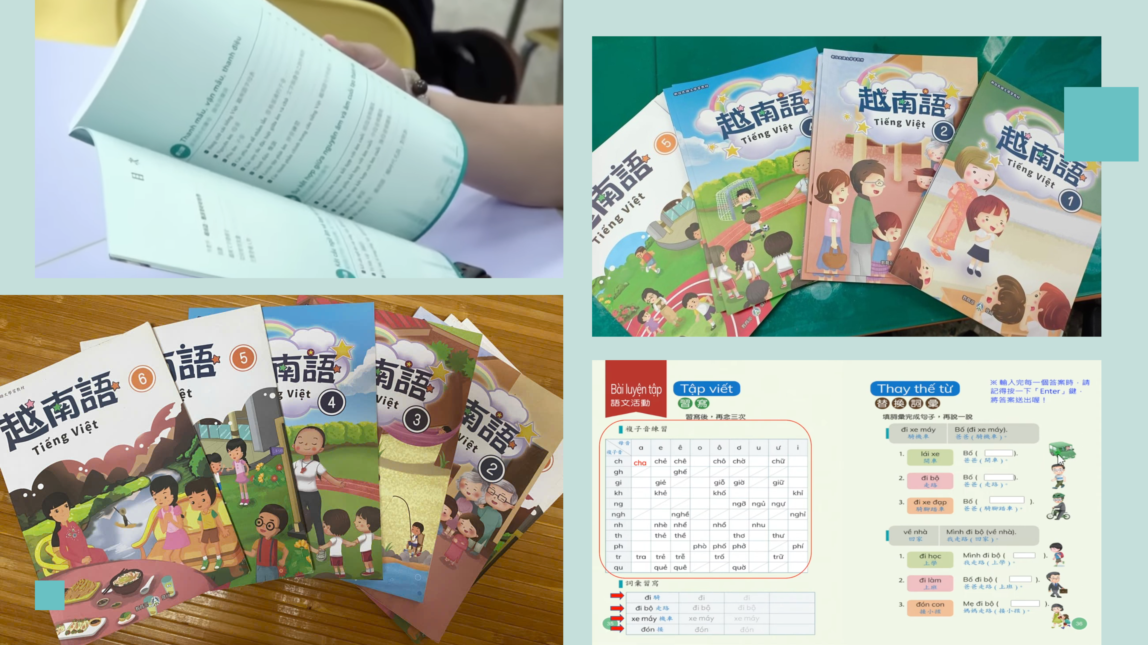 阮氏清河博士——在台湾耕耘越南语的二十年 阮氏清河博士——在台湾耕耘越南语的二十年