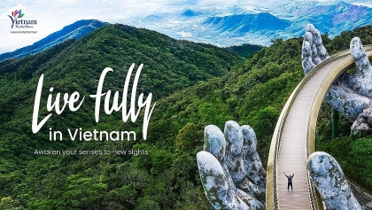 越南旅游总局实施吸引国际游客的“充分享受在越南的每一刻”计划