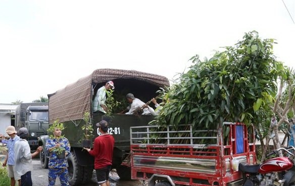 Bản in : 海军第4区接收1.5万棵果树树苗以绿化长沙岛县 | Vietnam+ (VietnamPlus)