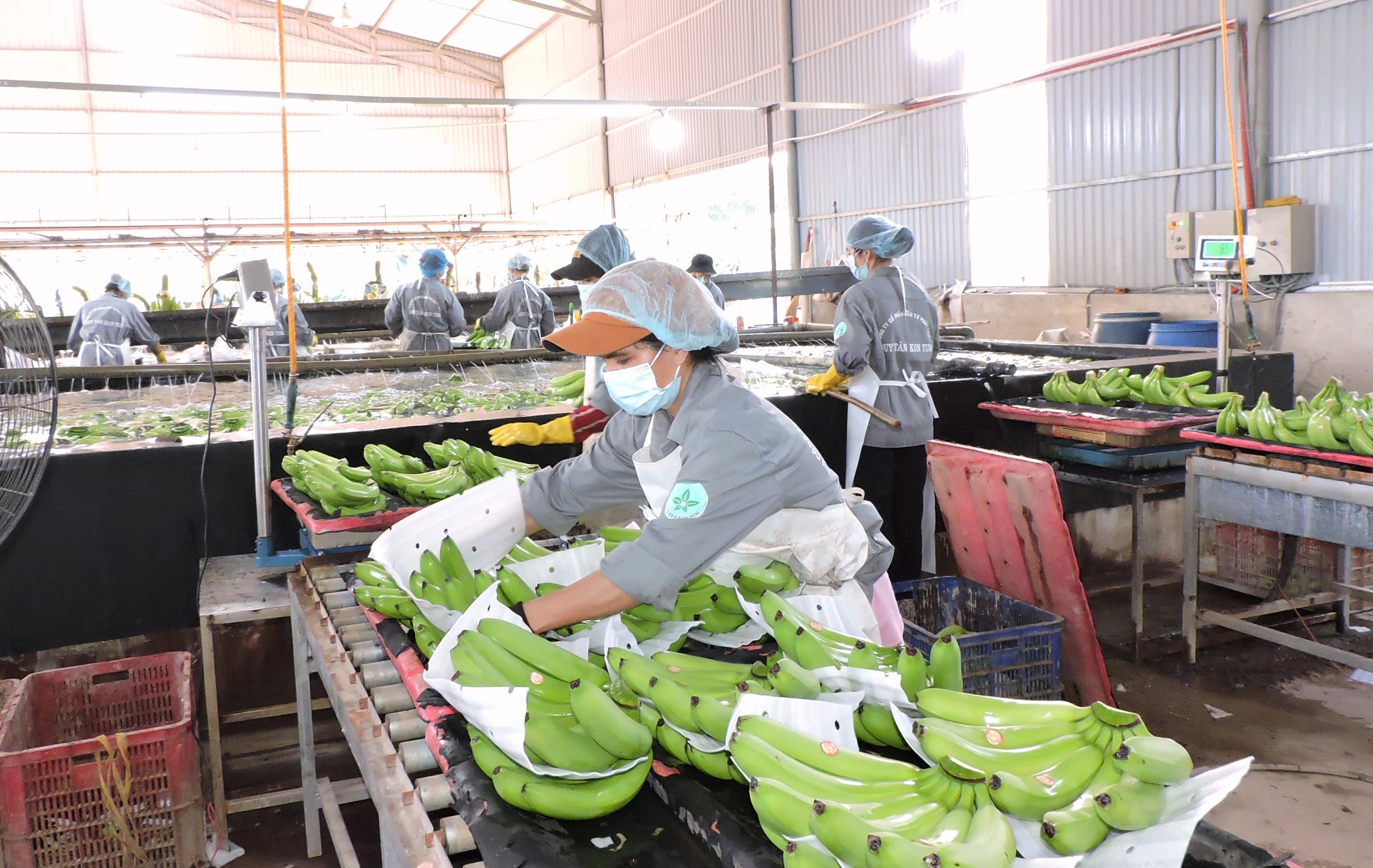 农产品出口需要适应中国的新规定
