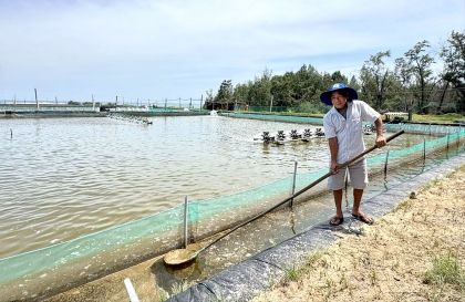 越南渔民生计的新方向