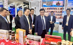 越南企业通过积极参展上海进博会拓展中国市场