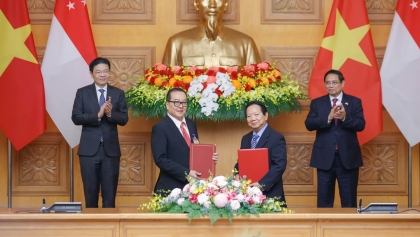 经济外交：从越南-新加坡友好协会的活动看外交新视角