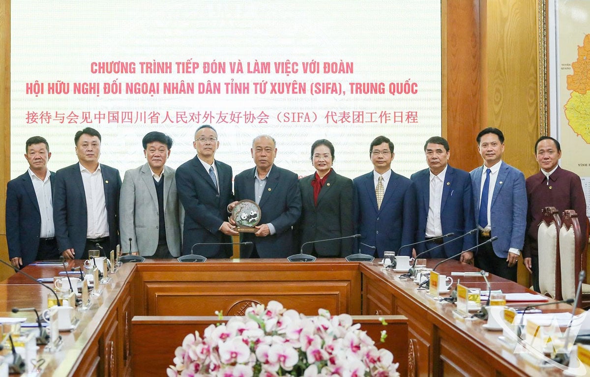 推动越南太原省与中国四川省的友好合作