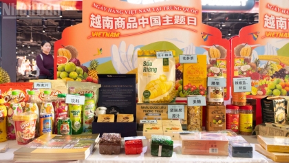 推进越南商品深入开拓中国市场