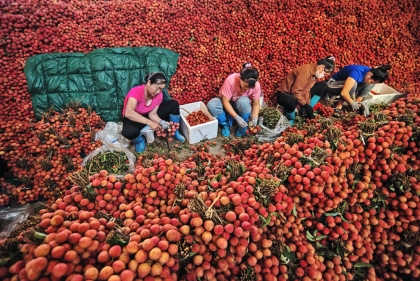 加强北宁省与广西（中国）工业和贸易合作