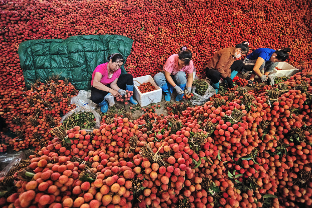 加强北宁省与广西（中国）工业和贸易合作