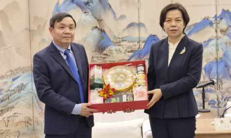 同塔省工作代表团在中国河南省进行工作访问