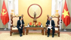 越中法院合作在数字化转型背景下日益务实深入