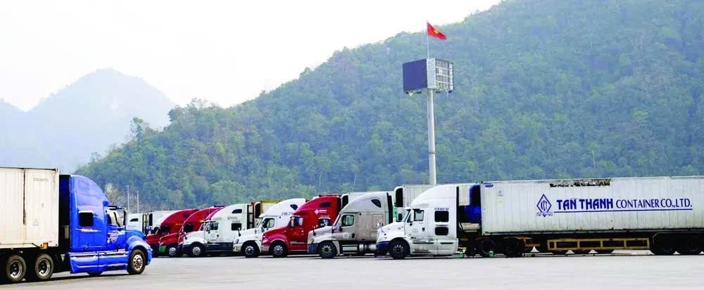 水产物流:把“正在游动”的龙虾送往中国 水产物流:把“正在游动”的龙虾送往中国