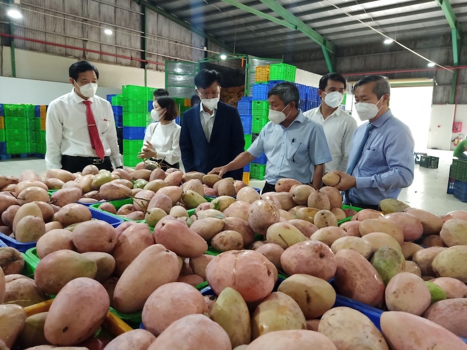越南同奈省向欧洲、韩国、日本、俄罗斯和中东地区出口2022年首批加工水果。