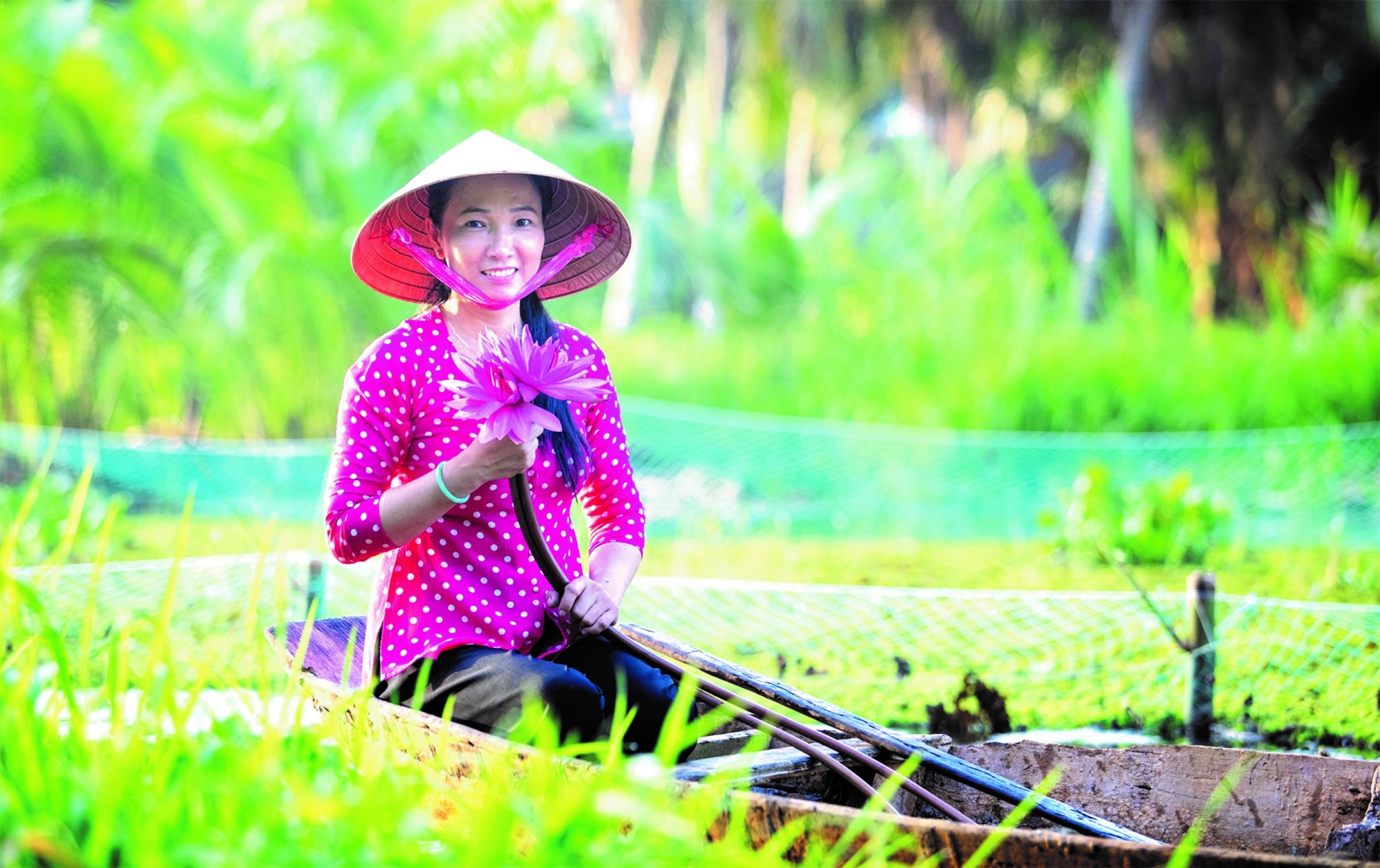 在越南茶荣省实施的加强妇女在预防和减轻灾害和气候变化风险方面作用的项目。