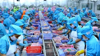 越南农林水产品贸易顺差增长近87%