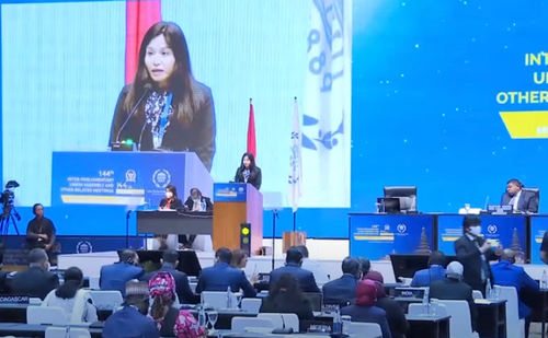 越南国会对外委员会常务委员蔡琼梅容女士在会议上发言。