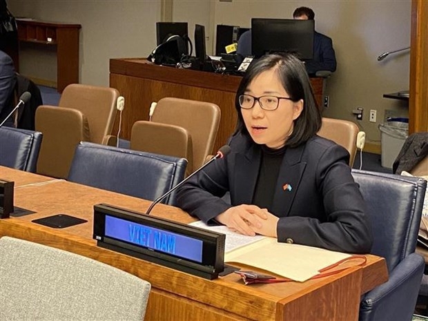 越南常驻联合国代表团副团长阮芳茶大使。