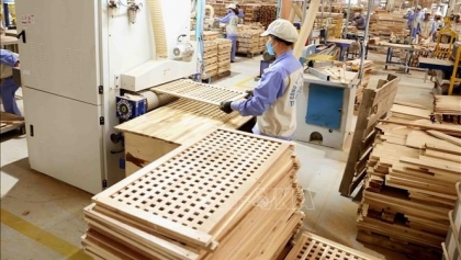 越南木材加工出口行业已迅速恢复生产并加快生产进度