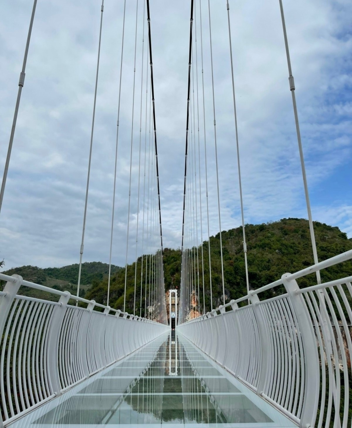 横跨两山的玻璃桥全长290米，主桥面宽2.4米。