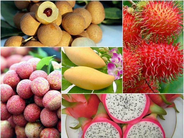 为越南水果“打开”高端市场寻找方法。