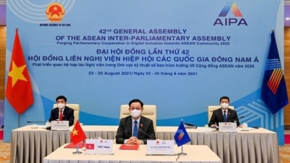 国际积极响应越南所提出的建议 尤其是完善法律框架