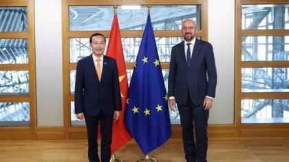 比利时和欧盟愿进一步加强与越南的关系