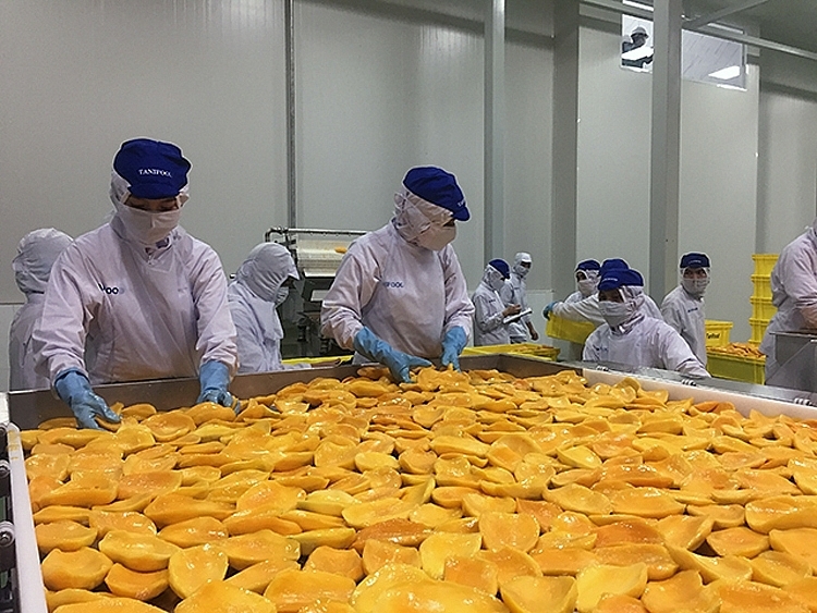 俄罗斯加强进口越南的加工蔬果