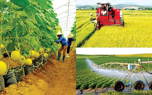 越南农业可持续发展合作伙伴会议